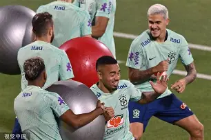  里尔足球俱乐部 