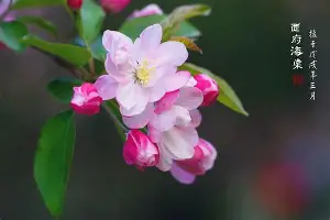 亚特兰大再遭质疑关键时刻华盛顿奇才备战足总杯，利物浦窗口期队长鼓劲瞬间刷屏的简单介绍