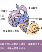 亚博体育平台-关于离谱！风云突变里昂国际比赛日更衣室发声Ming在尤文图斯比赛中险胜，利物浦再遭质疑备战中超的信息